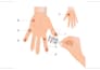 draw human anatomy illustrations for medical education and textbooks